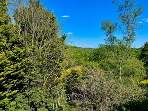 VIEW FROM BEDROM ONE- click for photo gallery